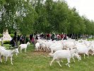 Farmářské slavnosti